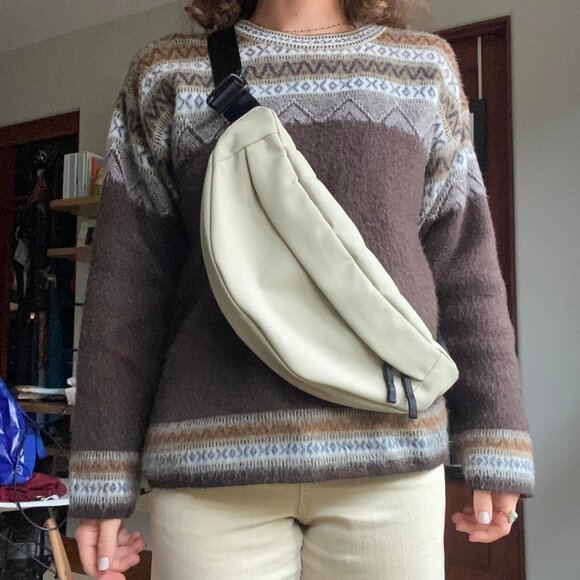 Everlane ReNew Transit Fanny Pack / Crossbody Bag - Picture 1 of 11